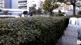 国产一区二区三区精品高h欧美,成人视频高清免费观看
